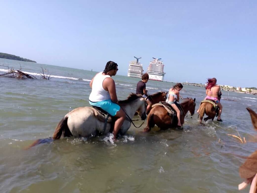 Puerto Plata Horseback Riding, Historical City Tour, & Butterfly Garden 9