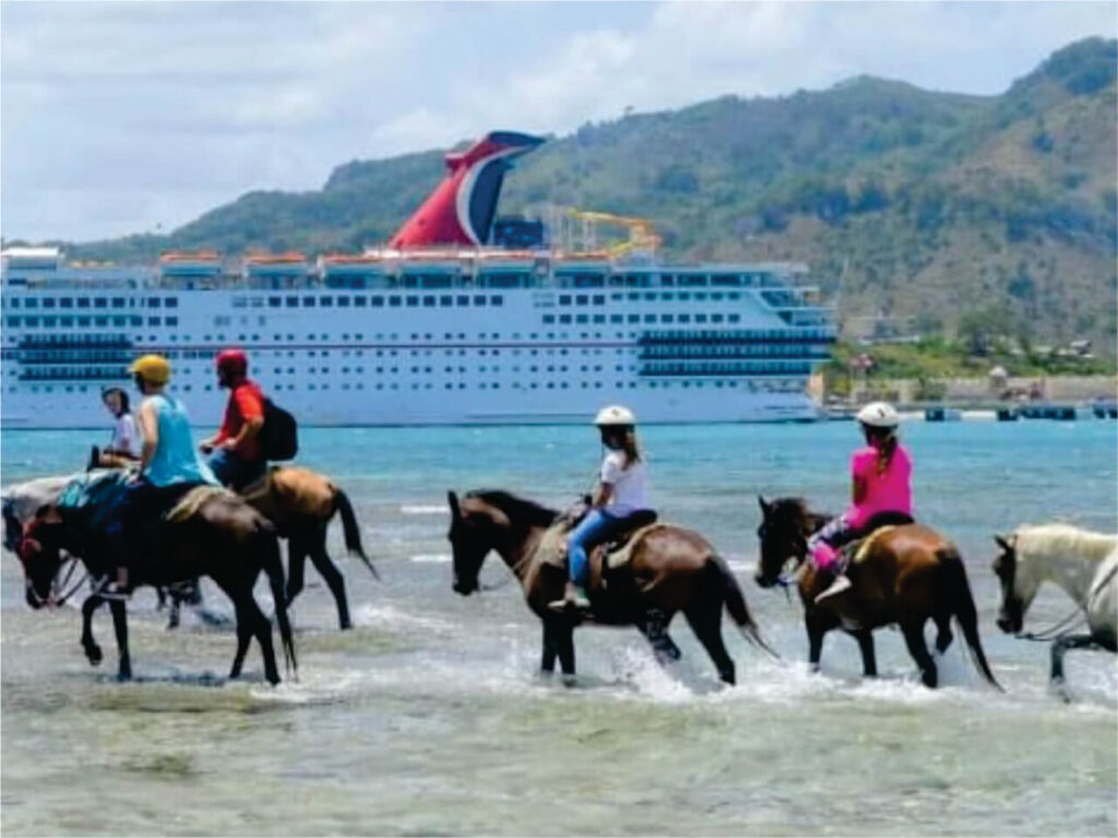 Puerto Plata Horseback Riding, Historical City Tour, & Butterfly Garden 3