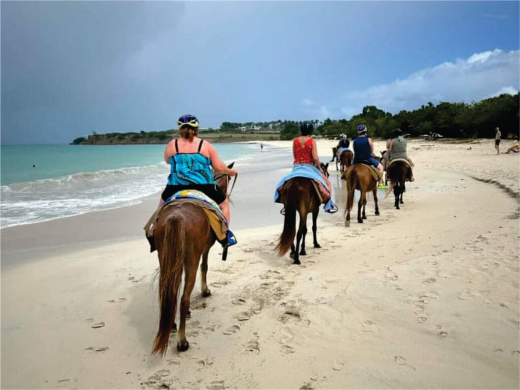 Puerto Plata Horseback Riding, Historical City Tour, & Butterfly Garden 2