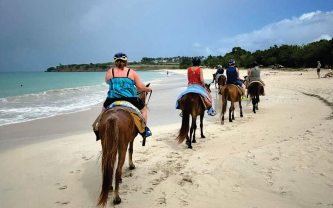 Horseback Riding Tour