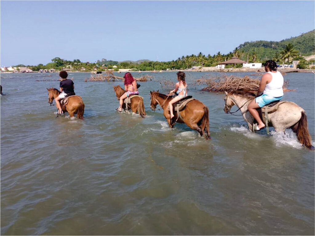 Puerto Plata Horseback Riding, Historical City Tour, & Butterfly Garden 11
