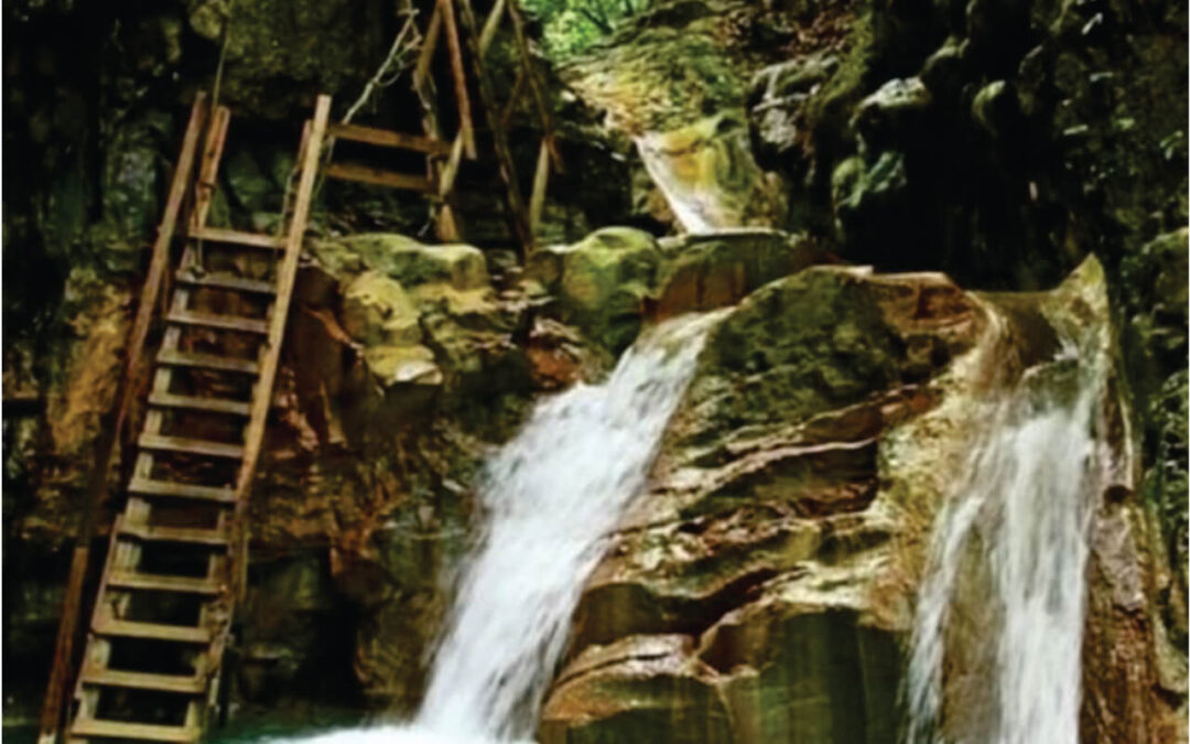 The Waterfalls