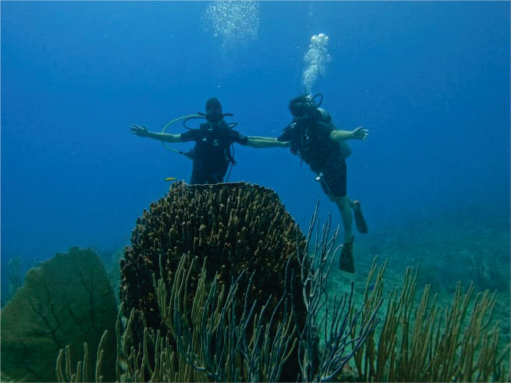 Cabarete Caves & El Choco National Park Adventure 9