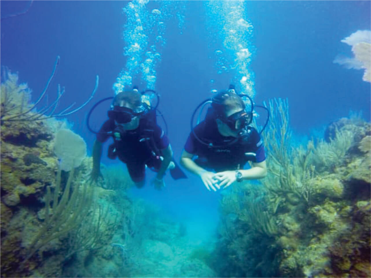 Snorkeling in Puerto Plata