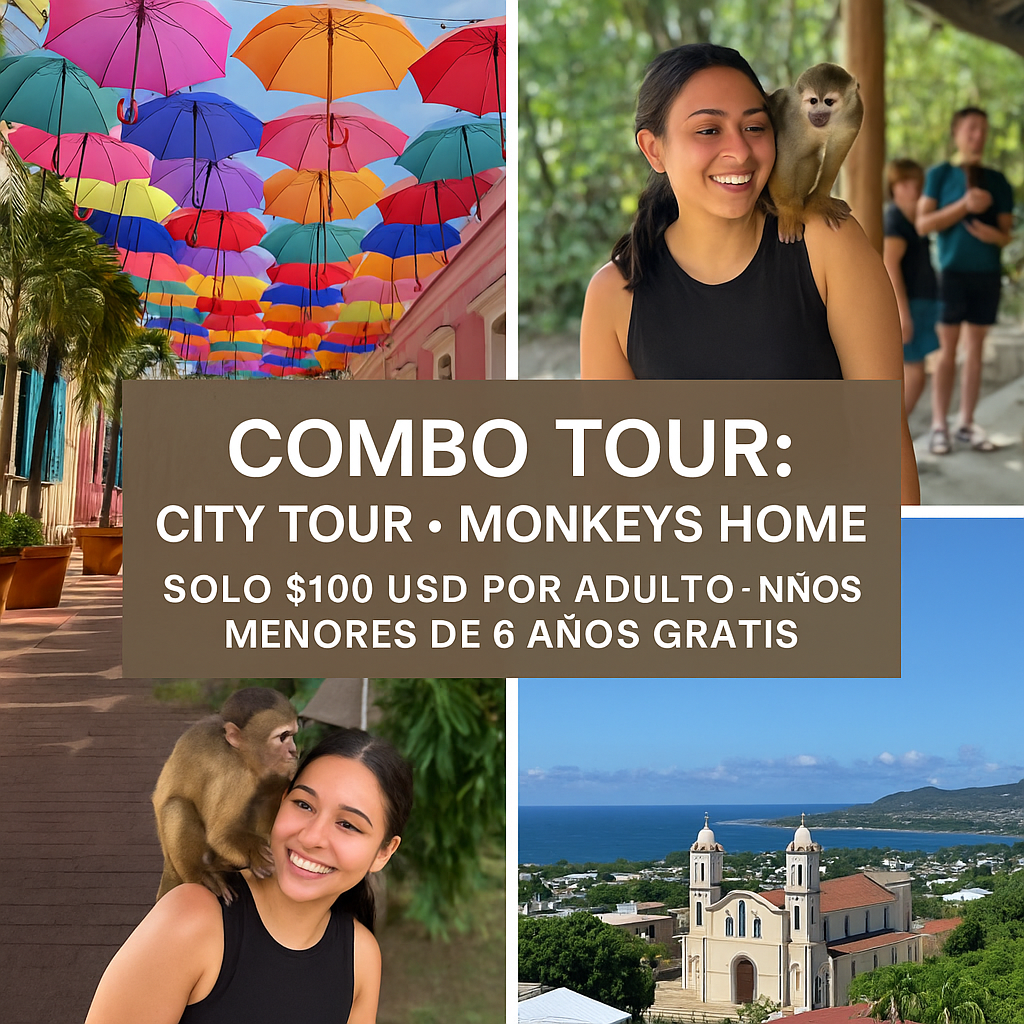 Combo City Tour + Monkeys Home