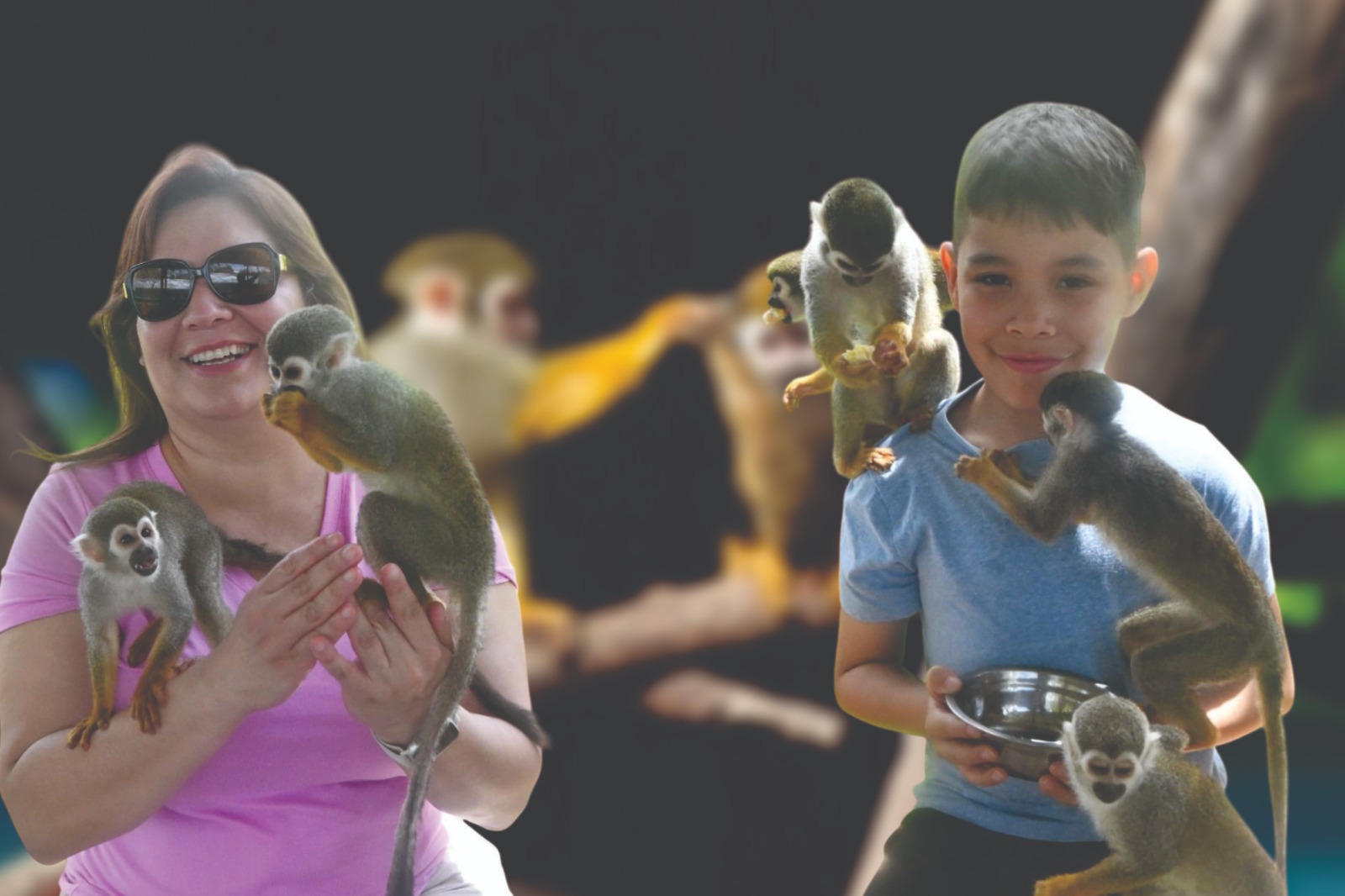 Monkey's Tour
