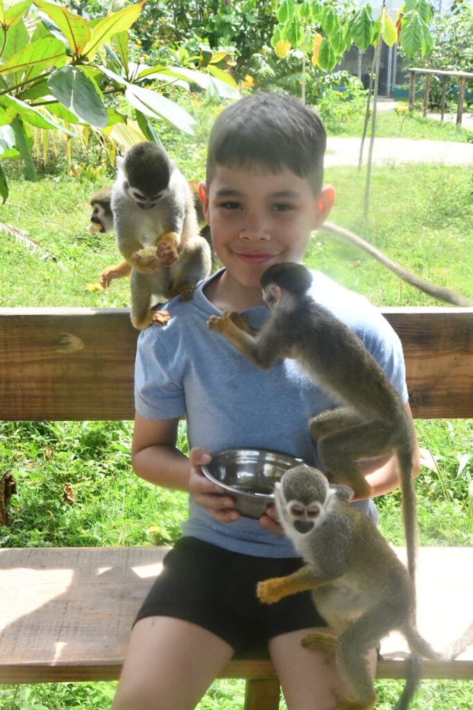 Monkey Land & Botanical Garden Adventure 5