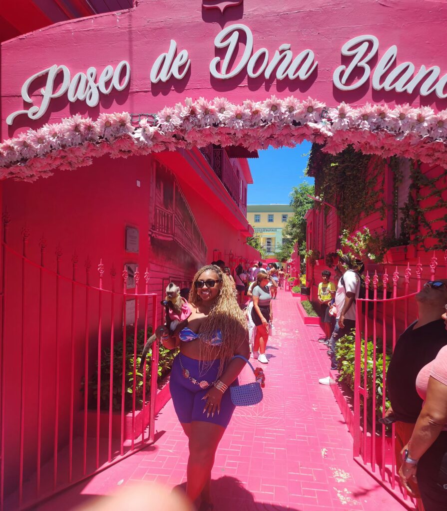 Puerto Plata City Tour: History & Culture Experience 12