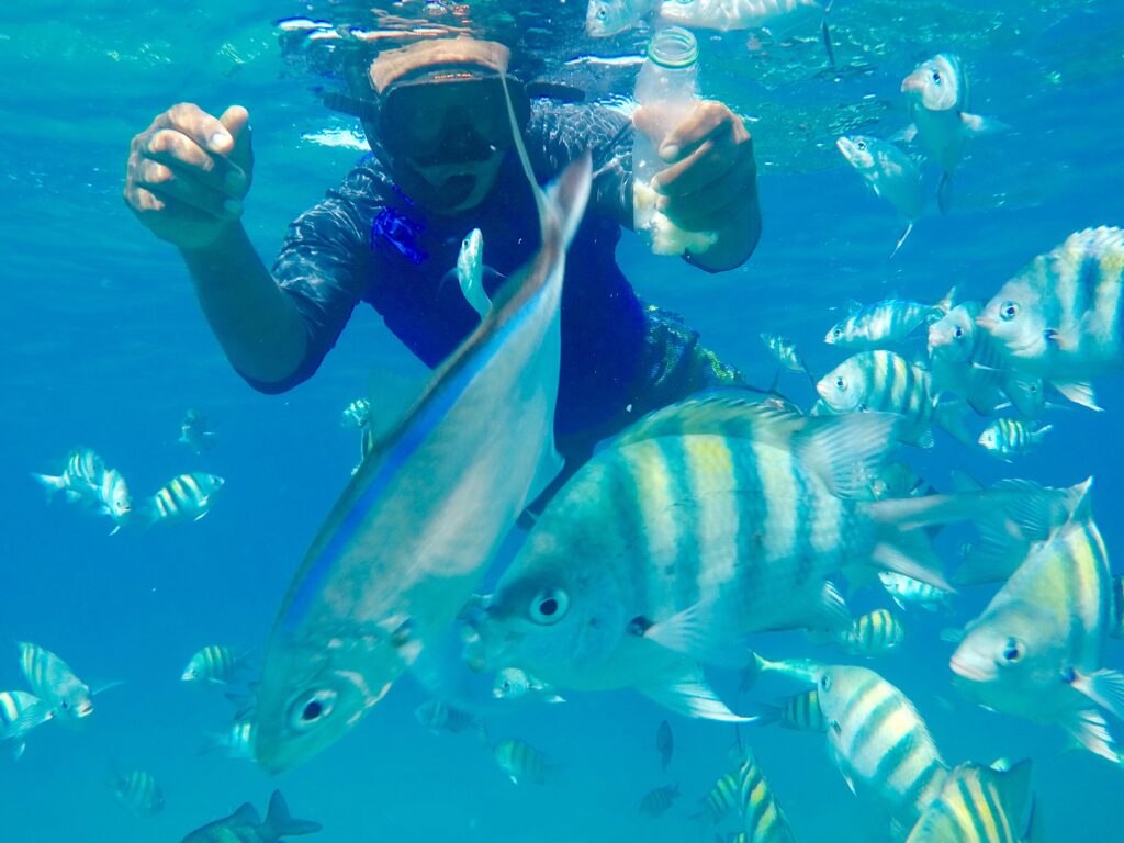 Catamaran Snorkeling & Open Bar Experience from Puerto Plata 10