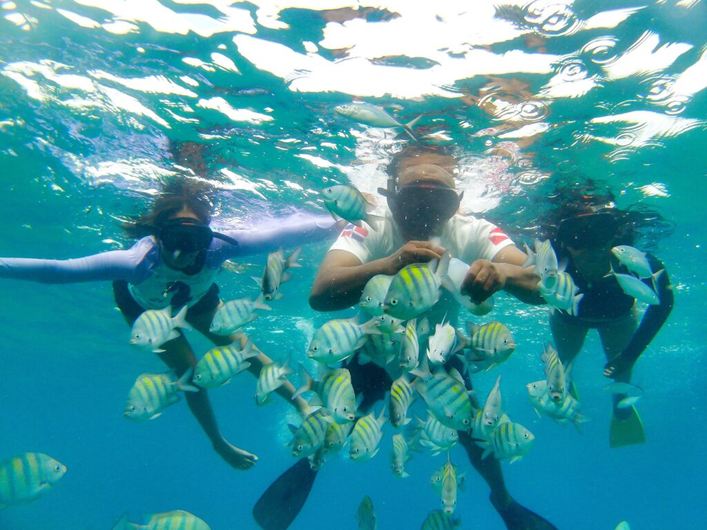 Catamaran Snorkeling & Open Bar Experience from Puerto Plata 8