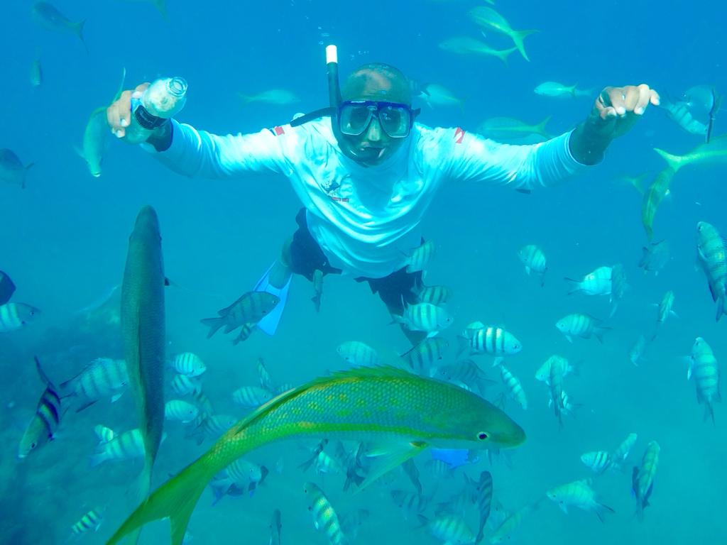 Catamaran Snorkeling & Open Bar Experience from Puerto Plata 11