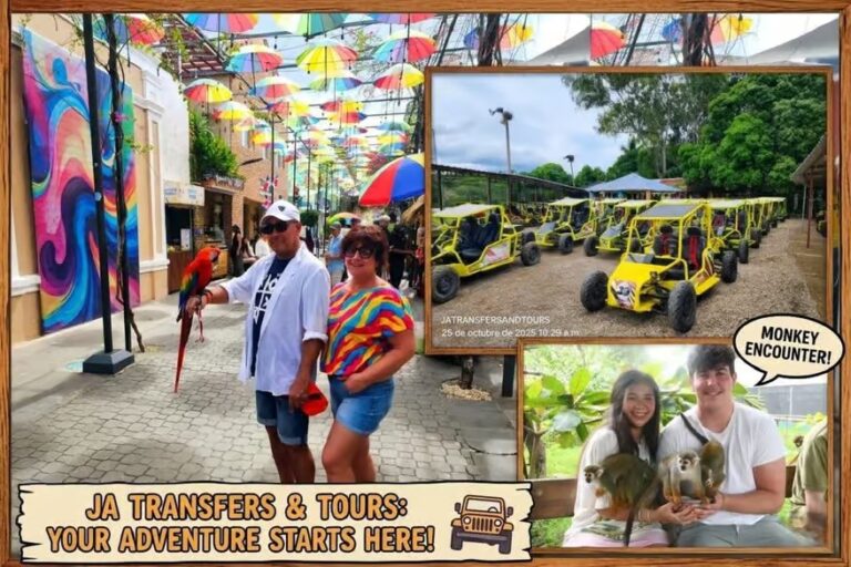 Puerto Plata: Buggy Ride, Monkey Sanctuary & City Tour