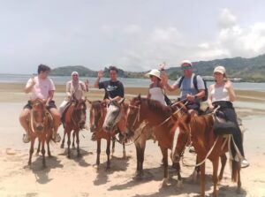 Puerto Plata: Horseback Riding Along the Beach, Countryside & City (Maimón)