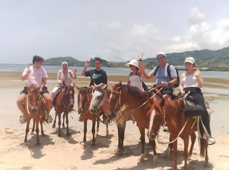 Puerto Plata: Horseback Riding Along the Beach, Countryside & City (Maimón)